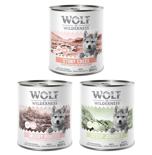 Wolf wilderness expedition - wolf, of