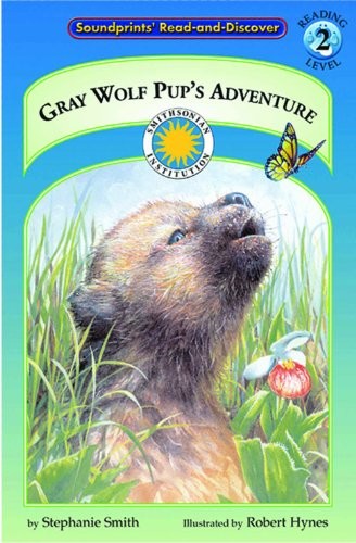 Gray wolf pup adventure - gray,