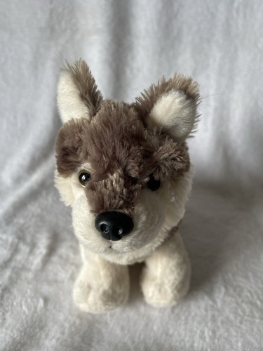 Ravensden grey husky puppy - ravensden,