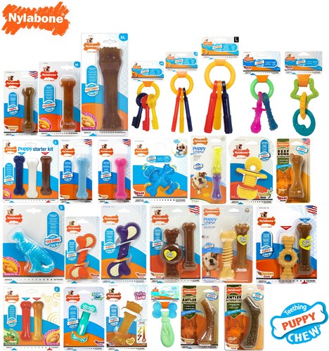 Nylabone puppy teething - puppy, tough