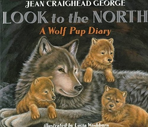 Look the north wolf - to, a