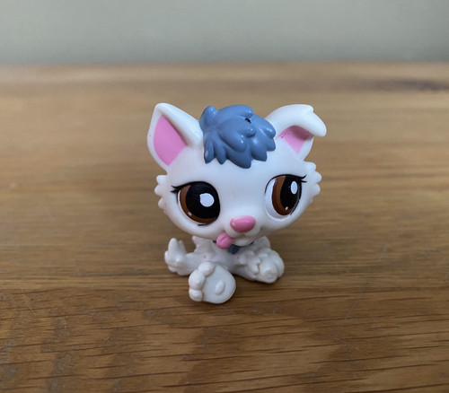 Littlest pet shop - lps, husky