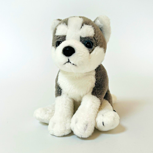 Living nature husky wolf dog - living,