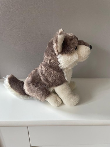 Ravensden grey husky puppy - ravensden,