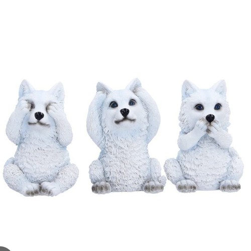 Three wise wolf - three,